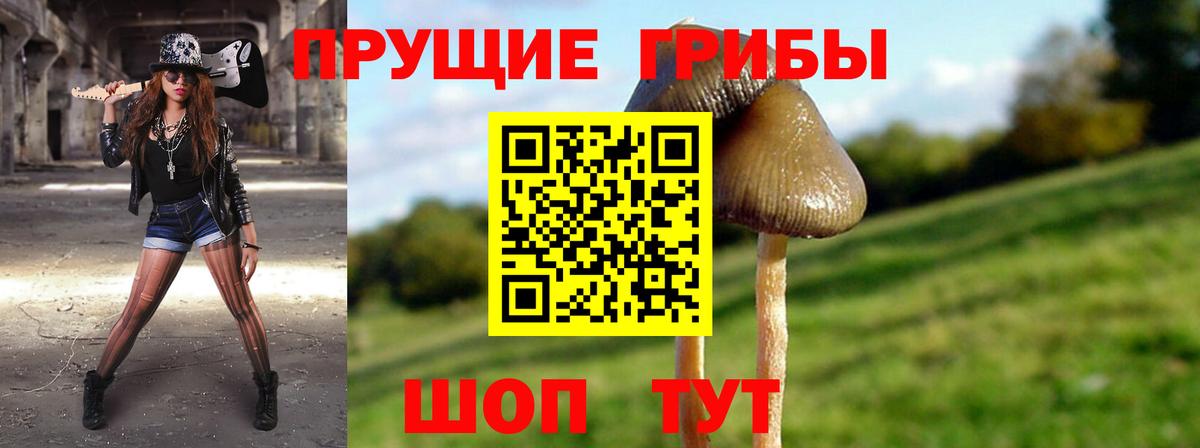 Галлюциногенные грибы мухоморы  Галлюциногенные грибы мухоморы  Вход с VPN  Иваново 